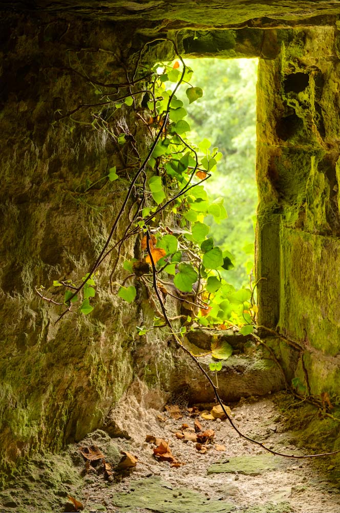 window...