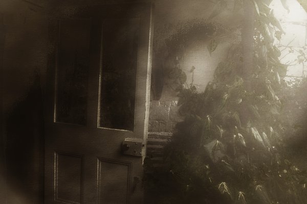 Back porch