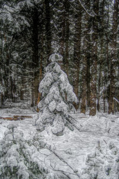 Heavy snow