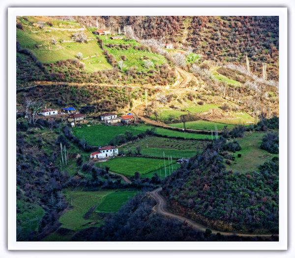 Landscape
