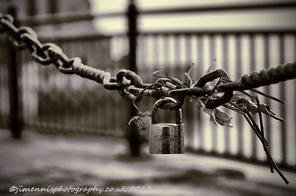 Lovelock