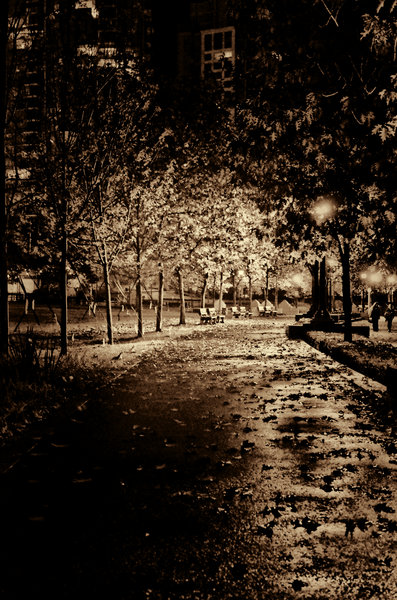 Lovers lane in the rain