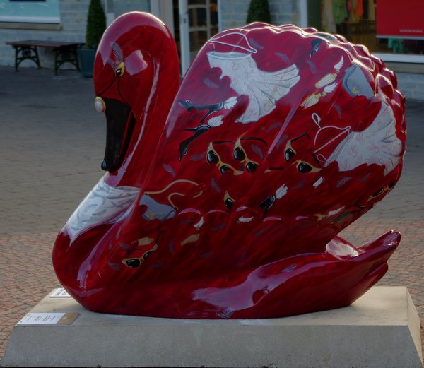 Red Swan