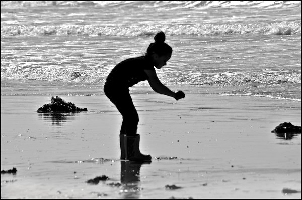 Shell seeker