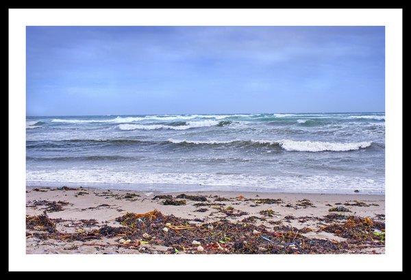 Sky, Sea and Seaweed.