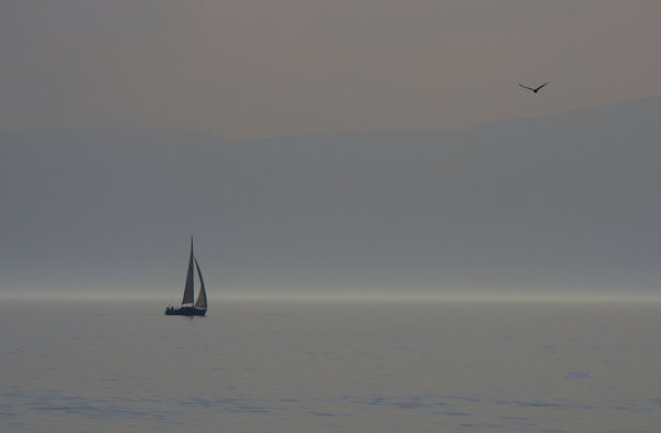 solitude .. (revisited)