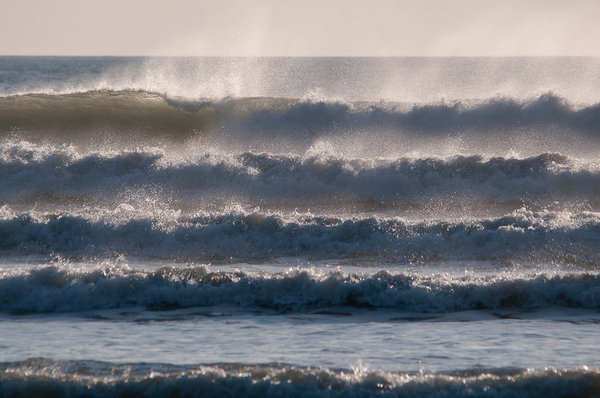 surf