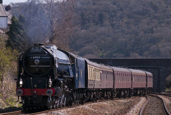 The Cathedrals Express
