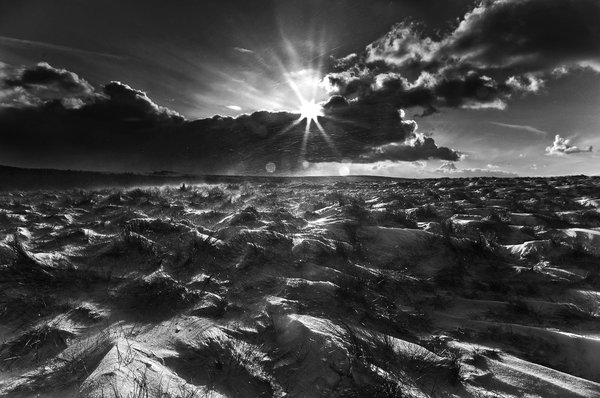 Winter Sun on the Snowfield