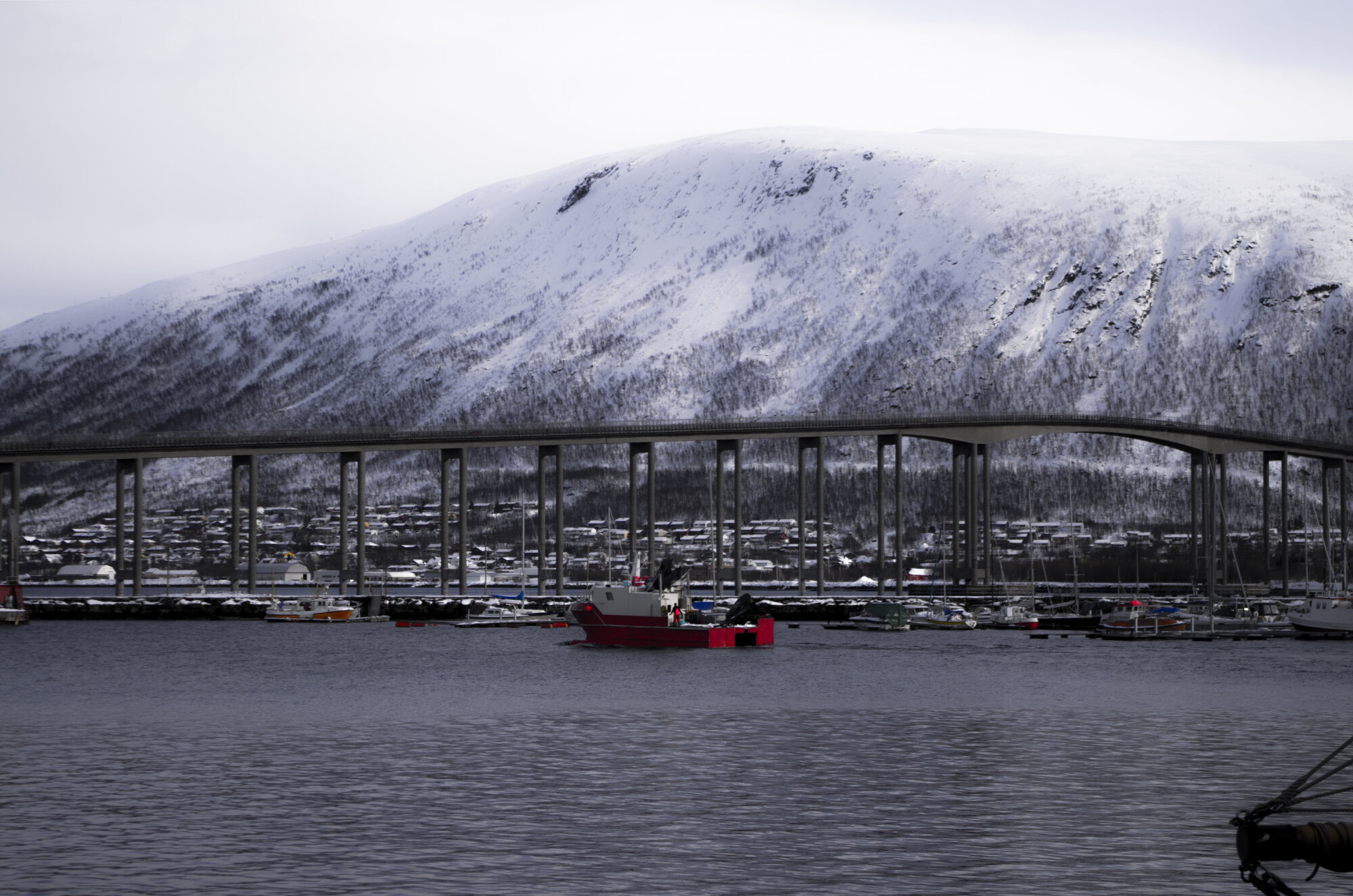 Fjord