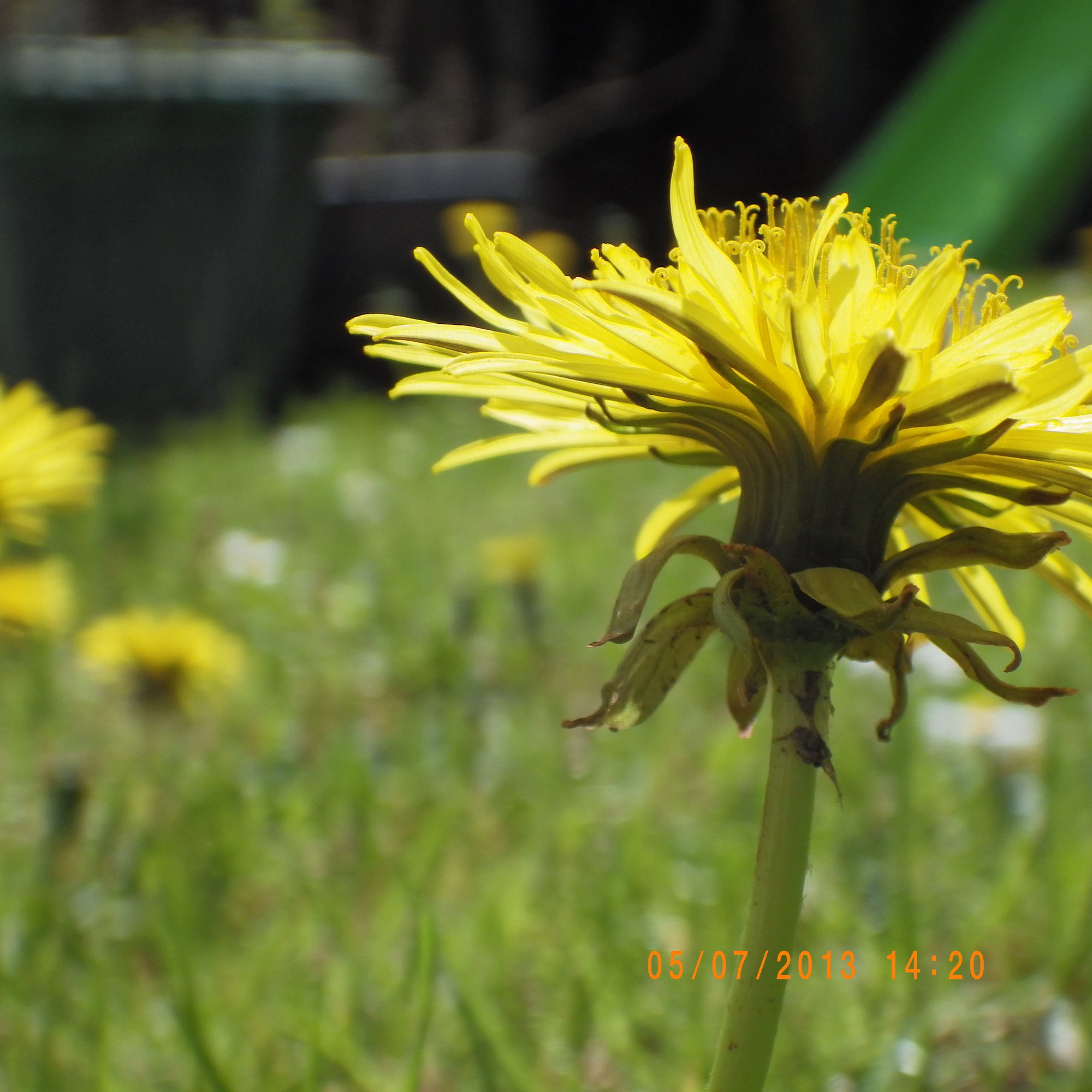 Macro shooting
