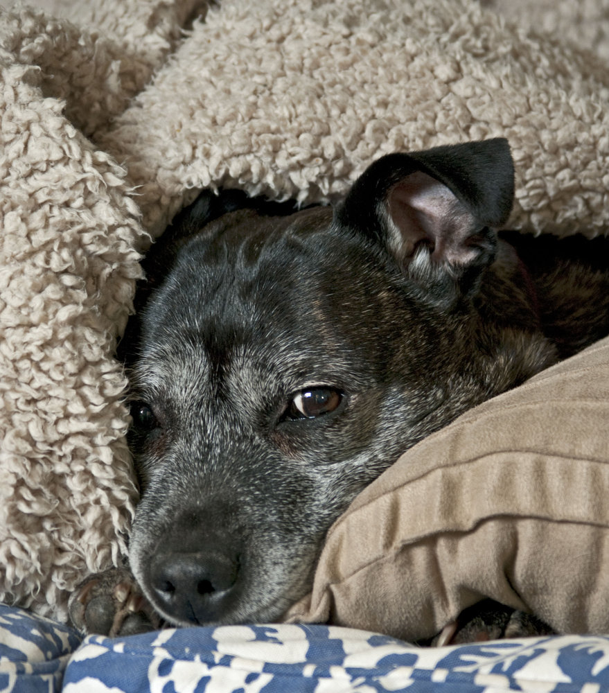 Cosy....