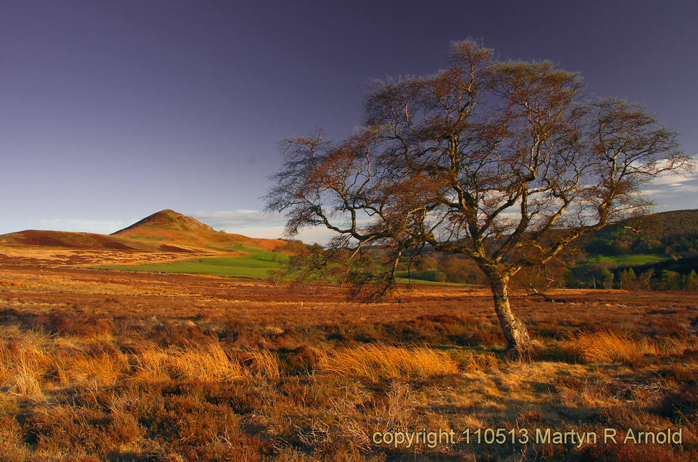 Evening light - North Yorks Moors