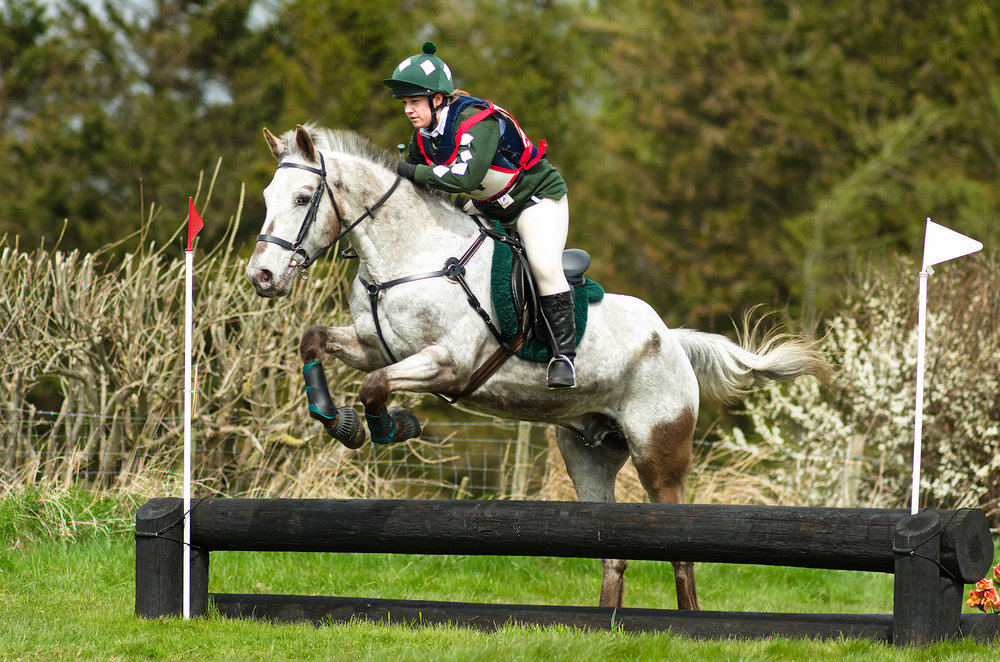 Foxberry Spring Jump
