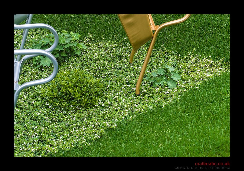 Planting Apex