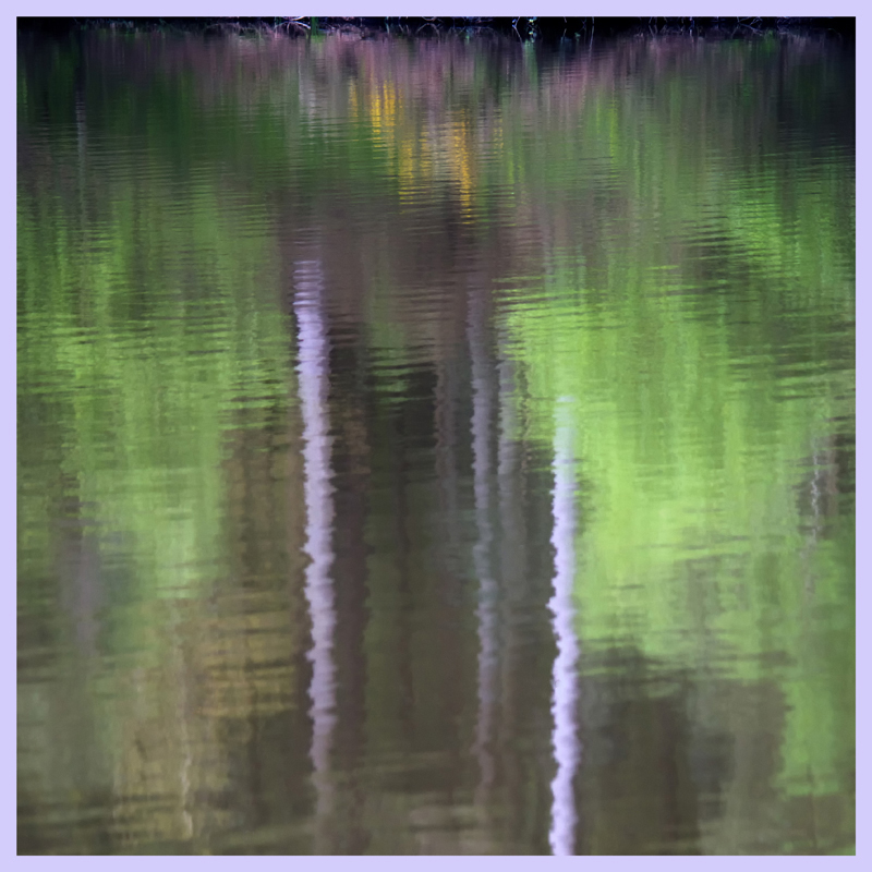 Reflecting Trunks