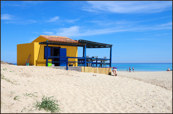 Beach Bar