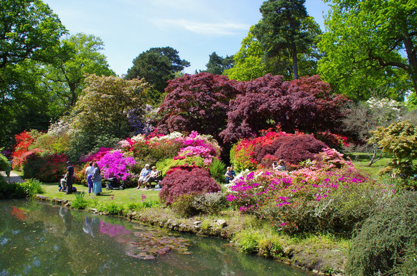 Exbury gardens Hampshire