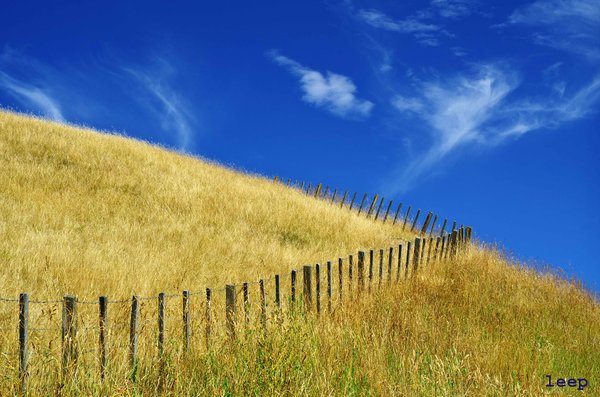 Hills and Fields 10