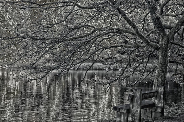 Mallards Pike Lake