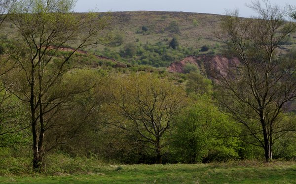Quantocks