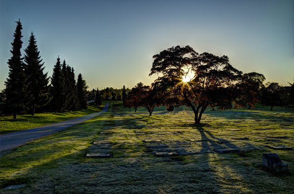 Resting place