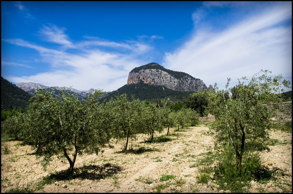 Sierra de Tramuntana, Majorca