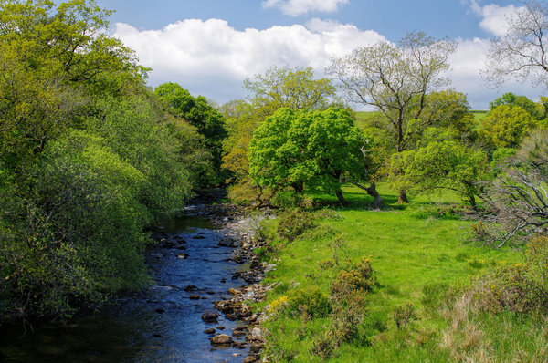 The River Tavy at Harford Bridge