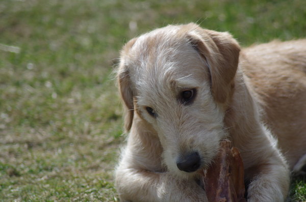 Tilly