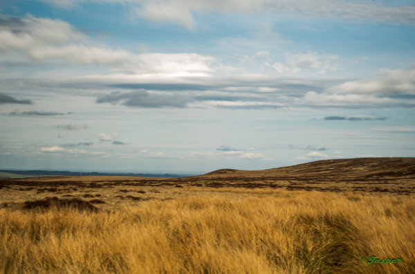 Windy Ilkley Moor