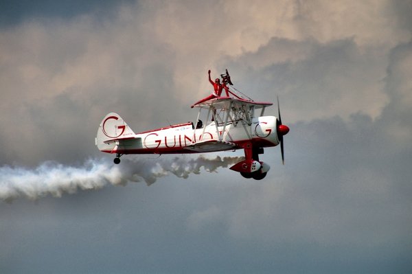 Wing Walker