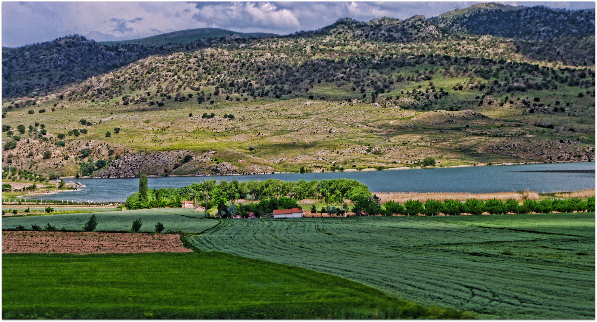 A Farm by the Lake