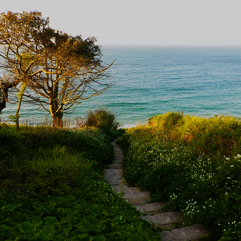 Path to the beach