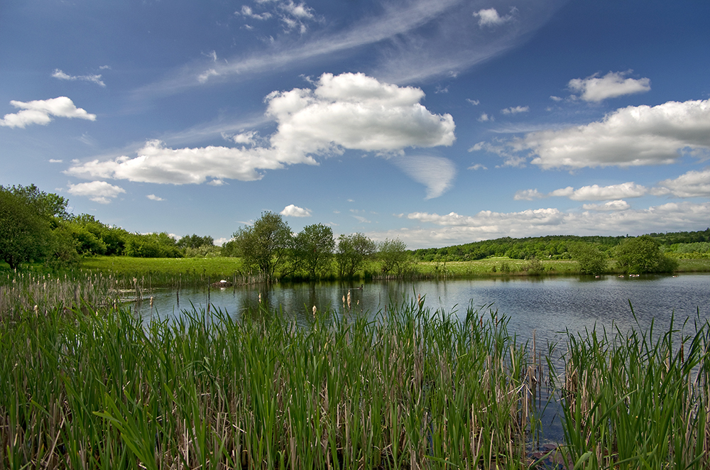 Rother Valley Park