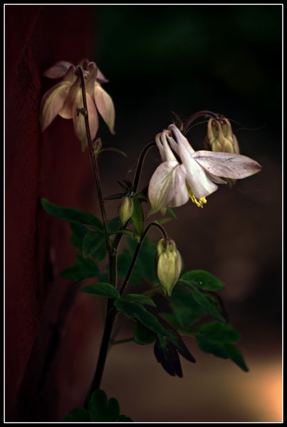 A patch of light