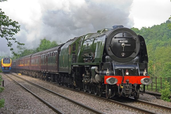 Derbyshire Duchess