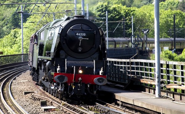 Duchess at Durham