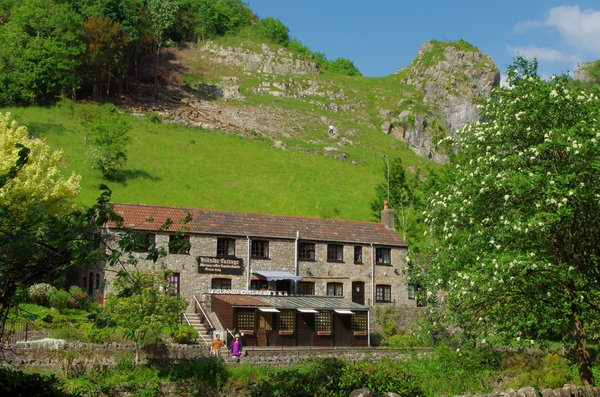 Hillside Cottage