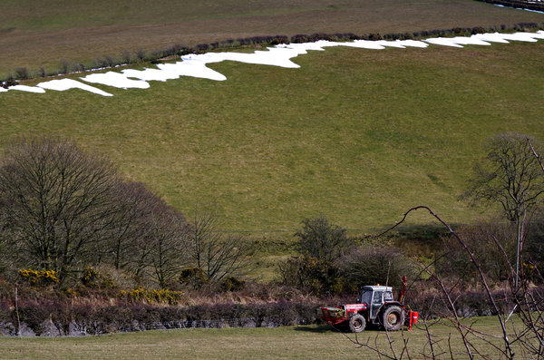 Last of the Snow