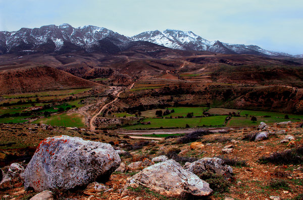 Path