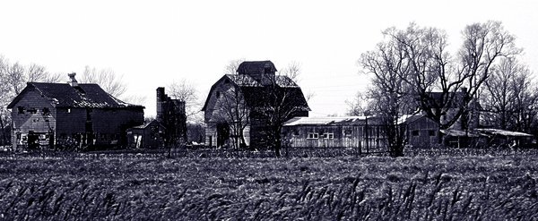 Rockford Farm