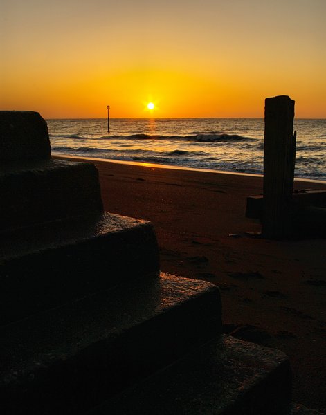 Step Into Morning