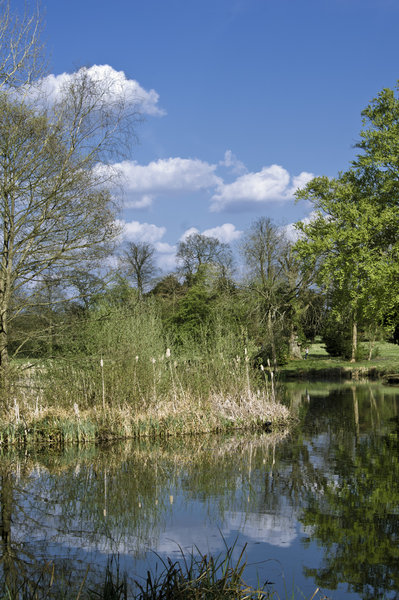 Stowe Landscape Garden 2013