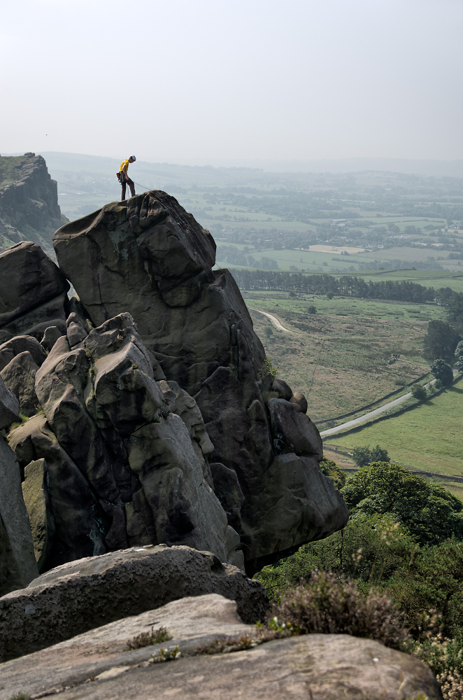 The Roaches