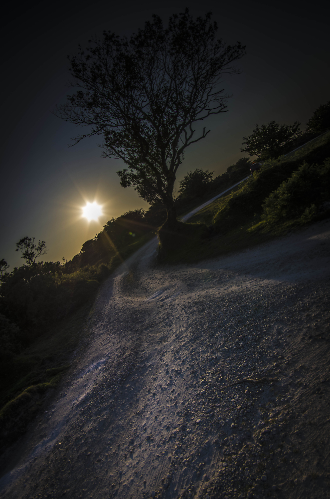 The road to South Penquite Farm