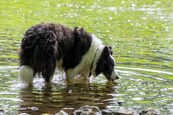 Cooling Down
