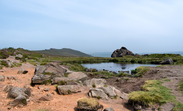 Doxey Pool