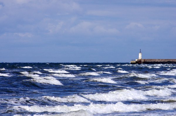 Lively waves