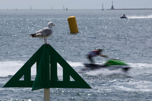P1 Aquax in Plymouth