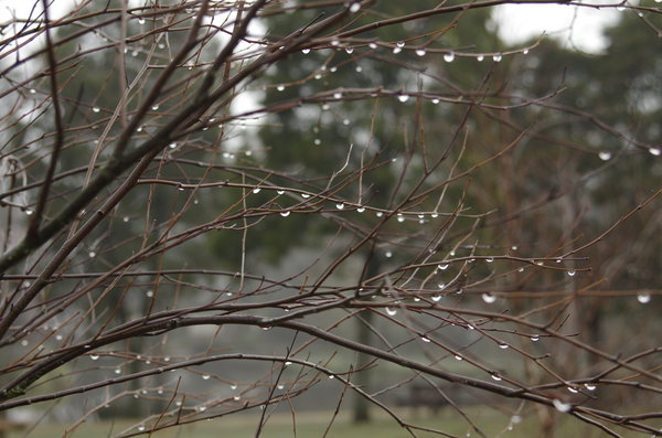 Raindrops